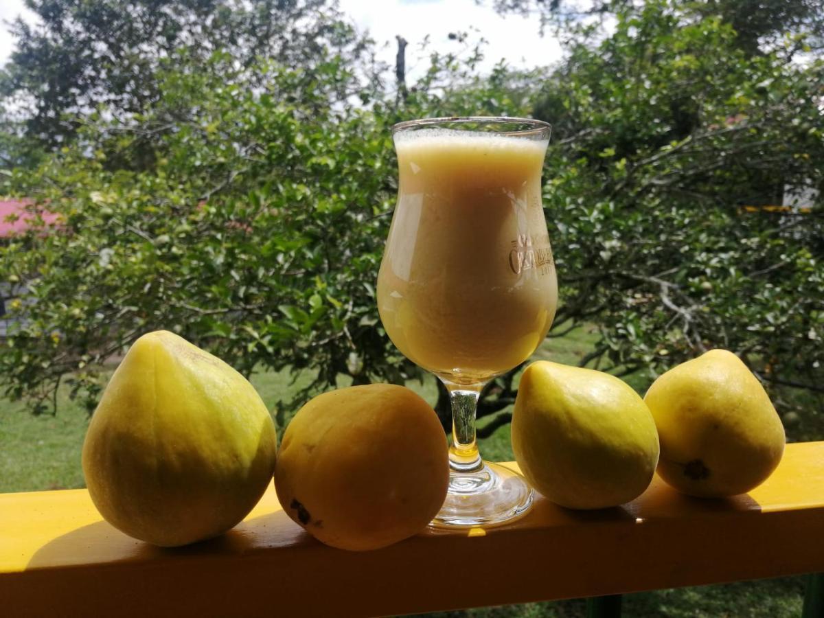 Hospedaje Rancho Guadalupe La Suiza Eksteriør billede